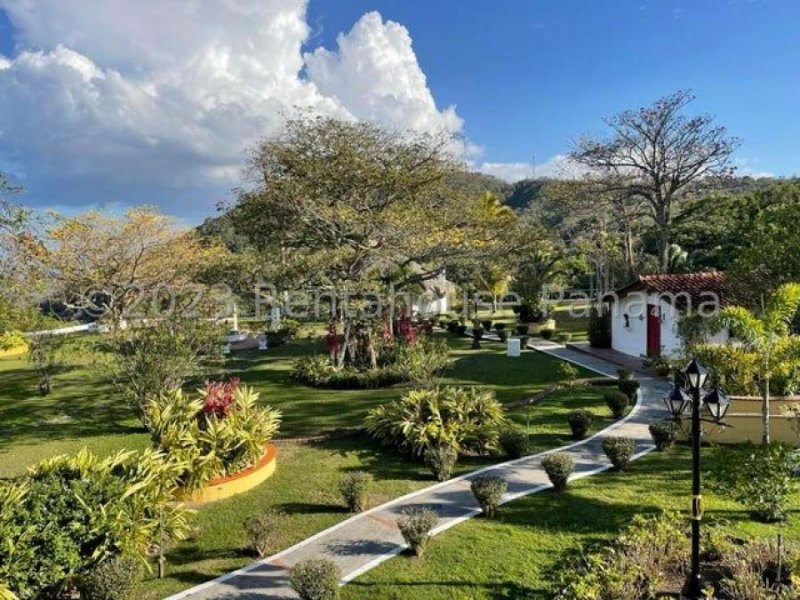 Finca en Venta en Valle de Antón San Carlos, Panamá Oeste