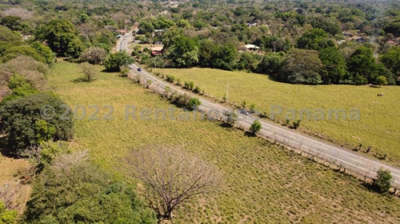 Venta Terreno de 108805 Mts² en Los Algarrobos