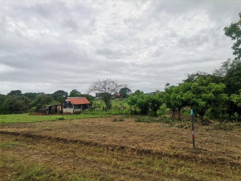 Terreno en Venta en Pueblo de Purio Purio, Los Santos