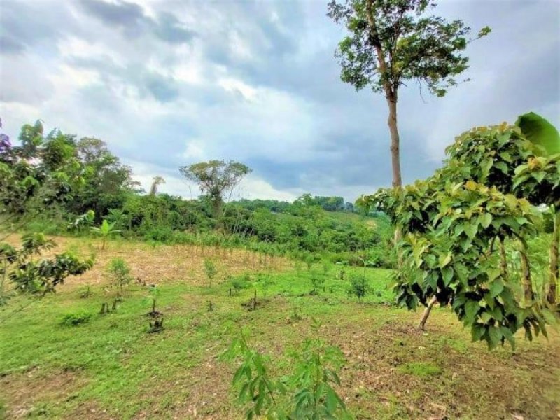 Terreno en Venta en  Las Mañanitas, Panamá