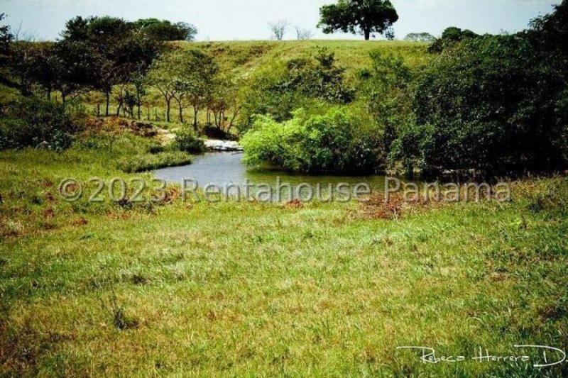 Terreno en Venta en  Penonomé, Coclé