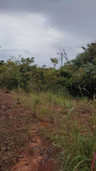 Terreno en Venta en Los Guayabitos Olá, Coclé