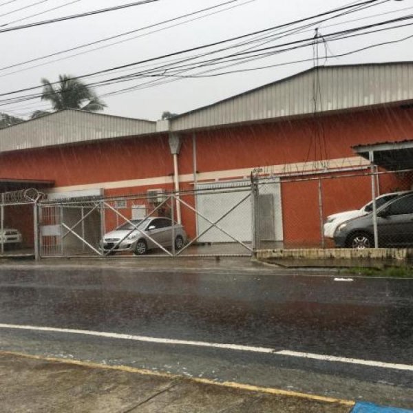 Foto Galera en Alquiler en Río Abajo, Panamá - U$D 1.553 - GAA24938 - BienesOnLine