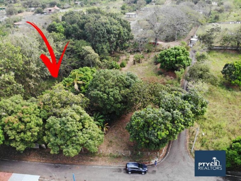 Foto Terreno en Venta en Sajalices, Panamá - U$D 56.000 - TEV40247 - BienesOnLine