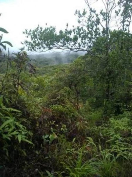 Terreno en Venta en Cerro Azul Ciudad de Panamá, Panamá