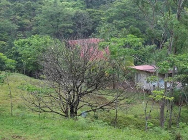 Finca en Venta en  Chepo, Panamá