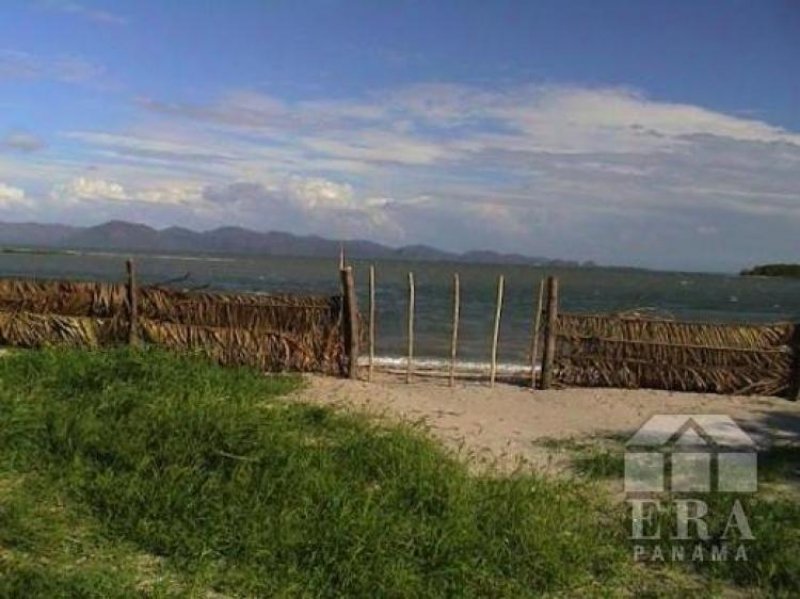 Foto Terreno en Venta en , Panamá - U$D 80.000 - TEV820 - BienesOnLine