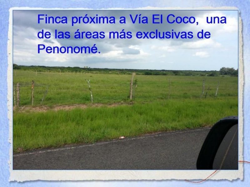 47 Hectares Land for Sale for Urban Development in Via el Coco - Penonome- Cocle