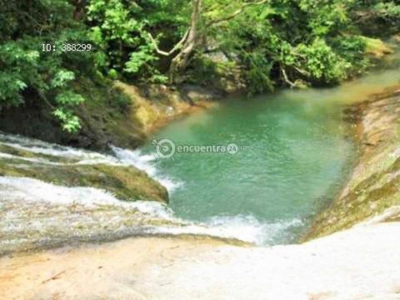 Finca en Venta en  Las Palmas, Veraguas