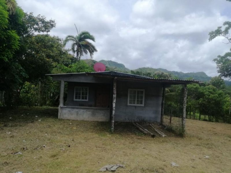 Casa en Alquiler en Ciri Grande Las gaitas, Panamá