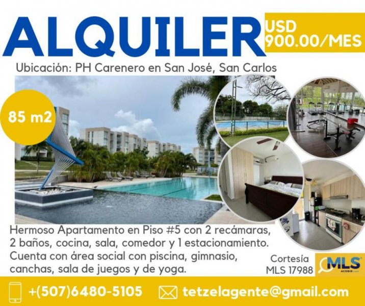 Foto Apartamento en Alquiler en San Jose, San Carlos, Panamá - U$D 900 - APA65131 - BienesOnLine