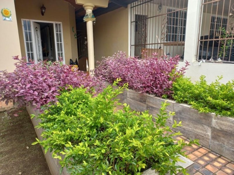 Casa en Alquiler en BRISAS DEL GOLF San Miguelito, Panamá