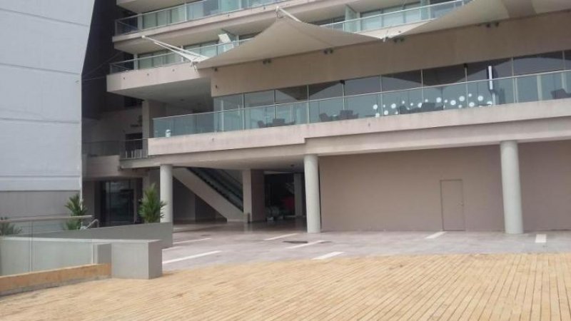 Foto Local en Alquiler en Ciudad de Panamá, Panamá - U$D 1.800 - LOA23742 - BienesOnLine