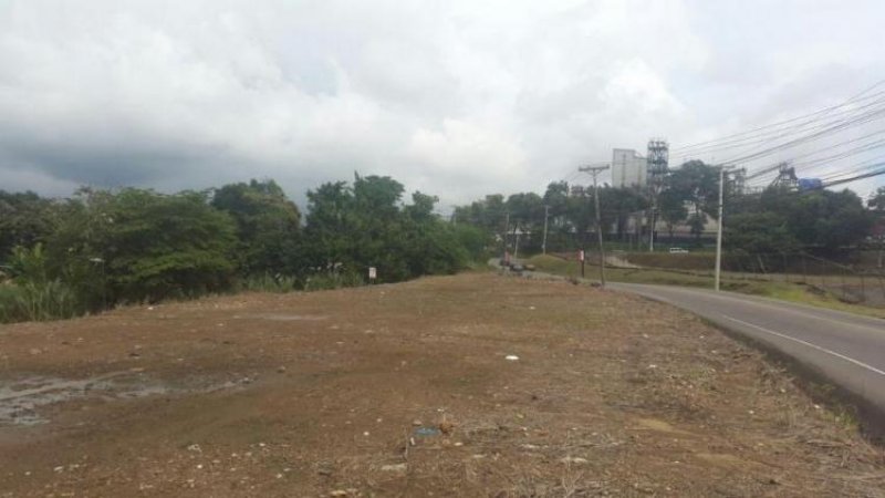 Foto Terreno en Alquiler en Ciudad de Panamá, Panamá - U$D 3.550 - TEA23113 - BienesOnLine