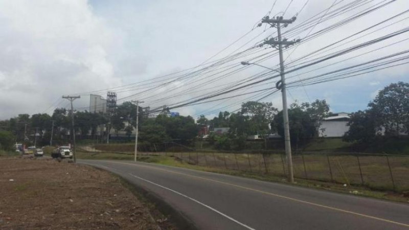 Foto Terreno en Alquiler en Ciudad de Panamá, Panamá - U$D 3.550 - TEA23010 - BienesOnLine