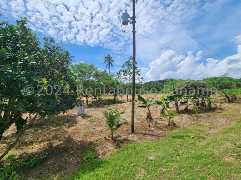 Terreno en Venta en  Donoso, Colón