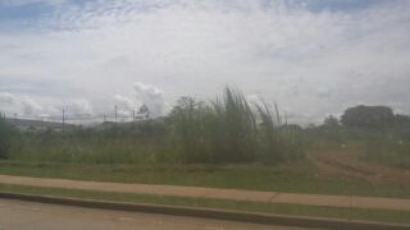 Terreno en Alquiler en Puerto Caimito La Chorrera, Panamá