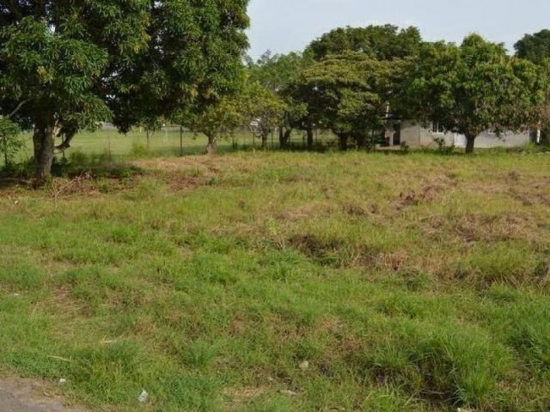 Terreno en Alquiler en Gorgona Chame, Panamá