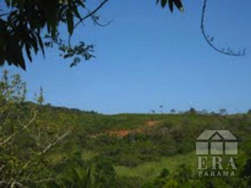 Foto Finca en Venta en , Panamá - U$D 1.422.000 - FIV761 - BienesOnLine