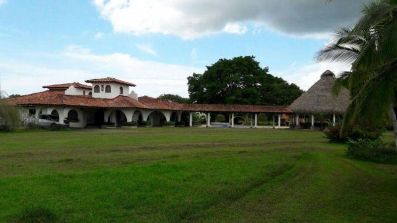 Foto Finca en Venta en Coclé, Coclé - U$D 490.000 - FIV12302 - BienesOnLine