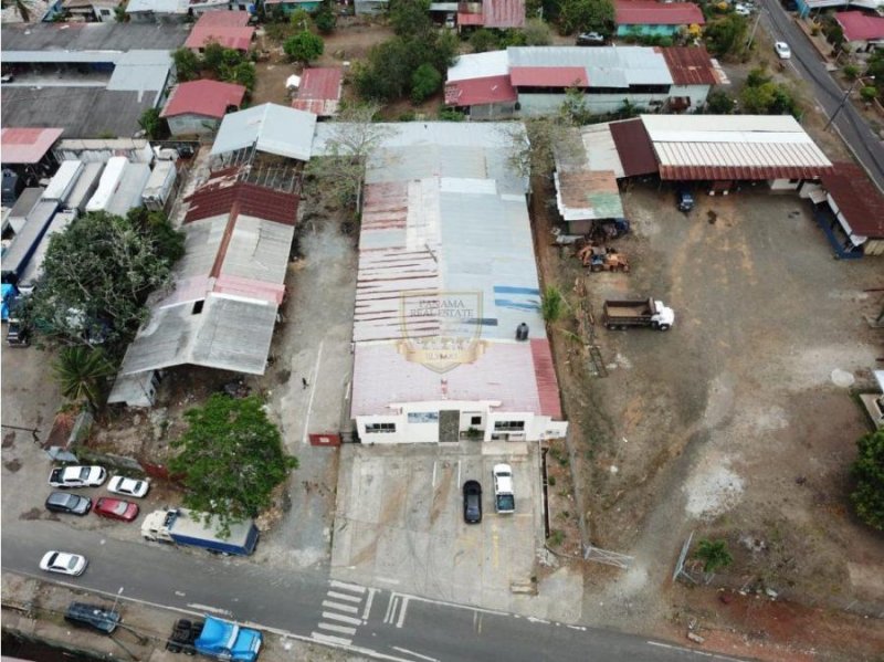 Foto Galera en Alquiler en Pedregal, Panamá - U$D 4.500 - GAA30045 - BienesOnLine