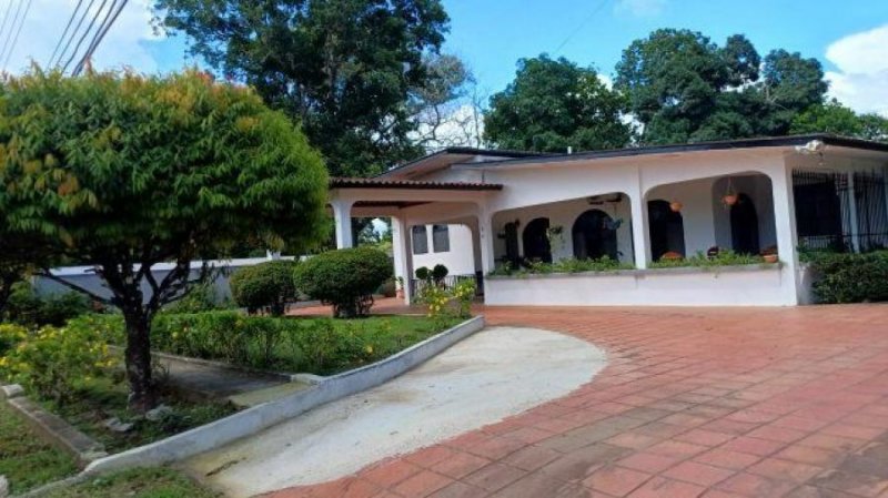 Casa en Alquiler, San Antonio, David Chiriquí 