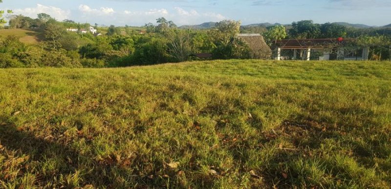 Foto Terreno en Venta en Chorrera, Vía La Arenosa, Panamá - U$D 62.900 - TEV48605 - BienesOnLine