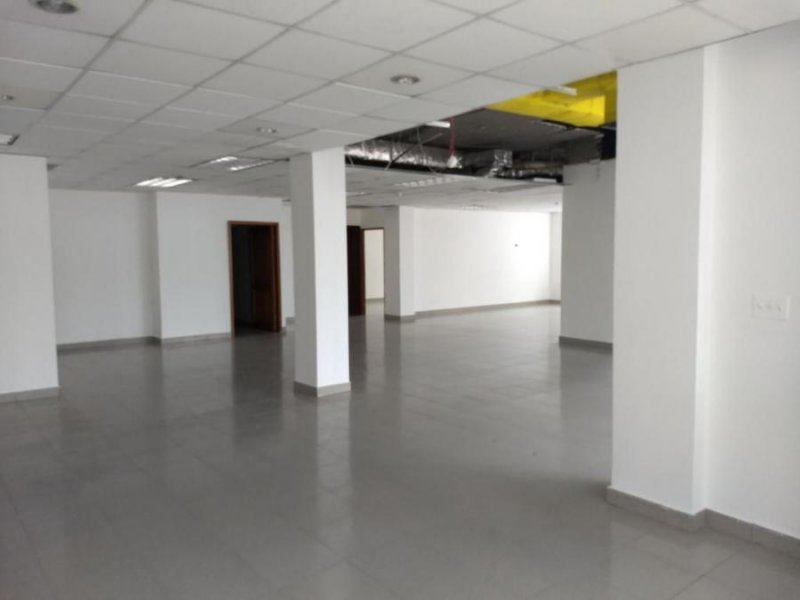 Foto Local en Alquiler en Obarrio, Panamá - U$D 6.250 - LOA32112 - BienesOnLine