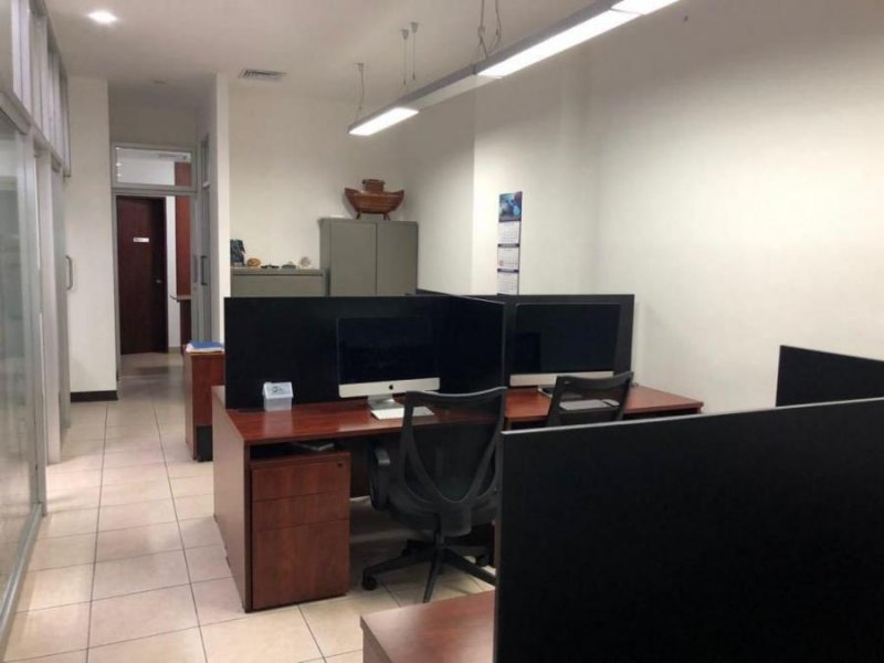 Foto Oficina en Alquiler en El dorado, Panamá - U$D 2.000 - OFA32618 - BienesOnLine