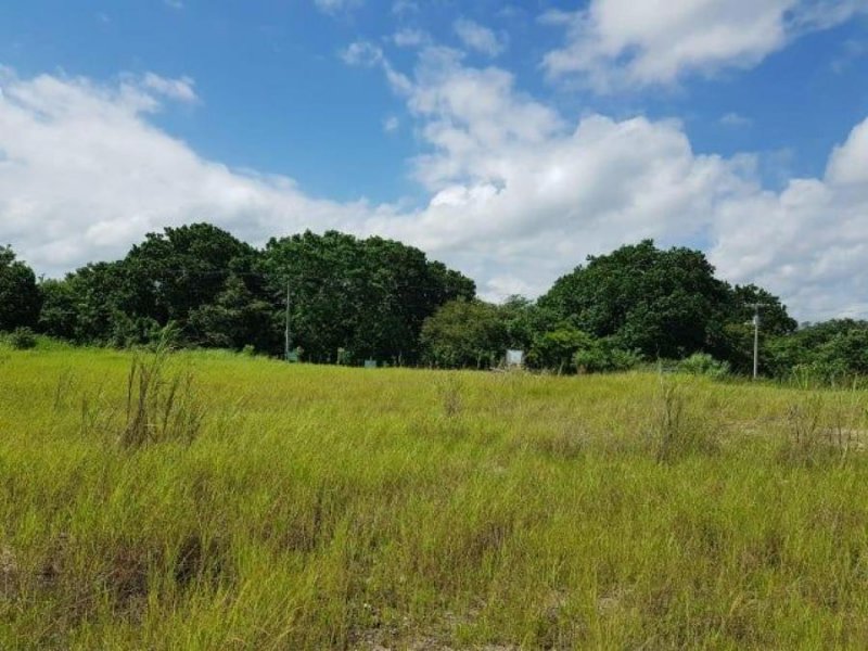 Terreno en Venta en Chepo Chepo, Panamá