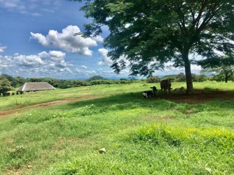 Terreno en Venta en Chitre Chitré, Herrera