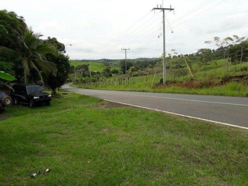 Foto Terreno en Venta en Chorrera, Ciudad de Panamá, Panamá - U$D 1.680.000 - TEV66499 - BienesOnLine