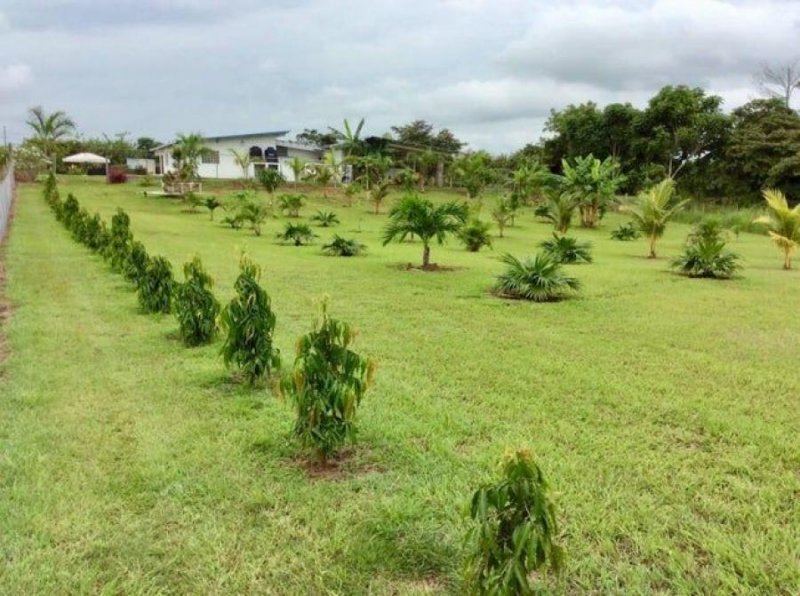 Terreno en Venta en Aguadulce Aguadulce, Coclé