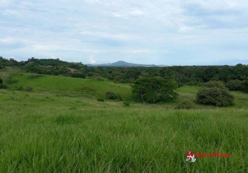 Foto Terreno en Venta en Chorrera, Ciudad de Panamá, Panamá - U$D 5.500.000 - TEV66503 - BienesOnLine