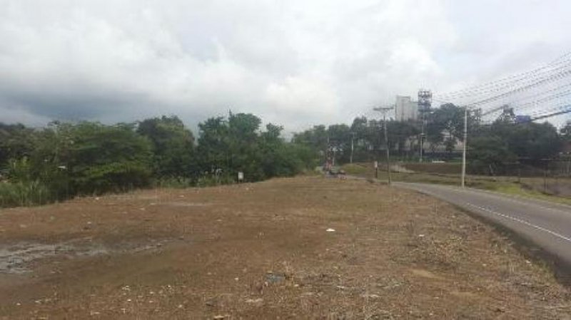 Foto Terreno en Venta en Tocumen, Ciudad de Panamá, Panamá - U$D 500.000 - TEV24842 - BienesOnLine