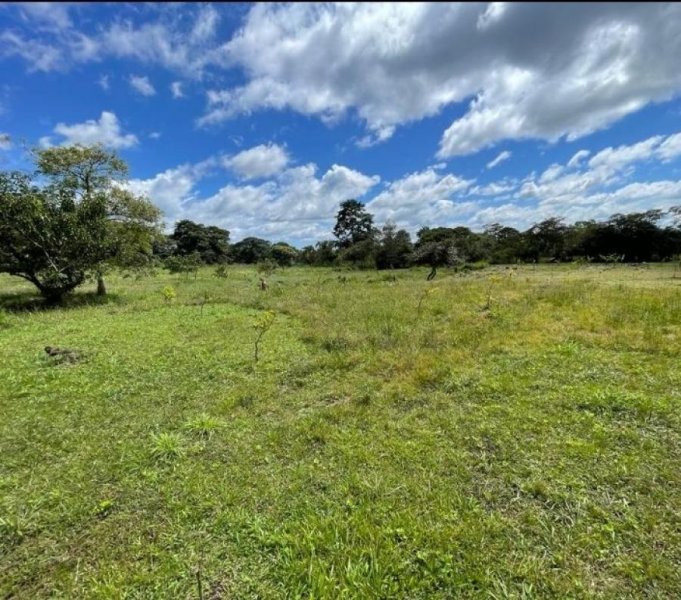 Finca en Venta en  Potrerillos, Chiriquí