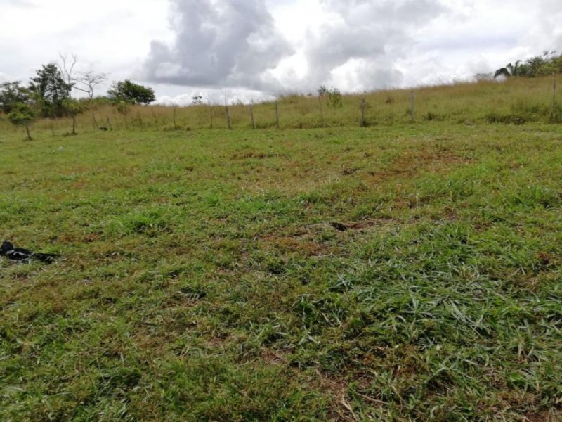 Finca en Venta en SANTA CRUZ El Arado, Panamá