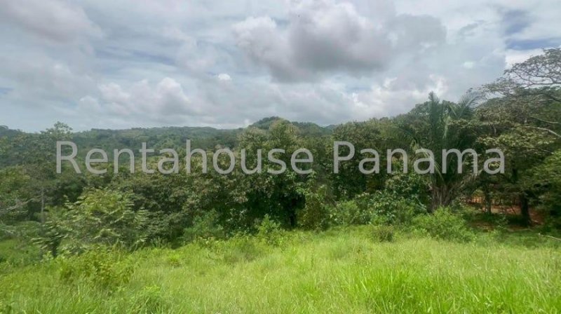 Terreno en Venta en  Tolé, Chiriquí