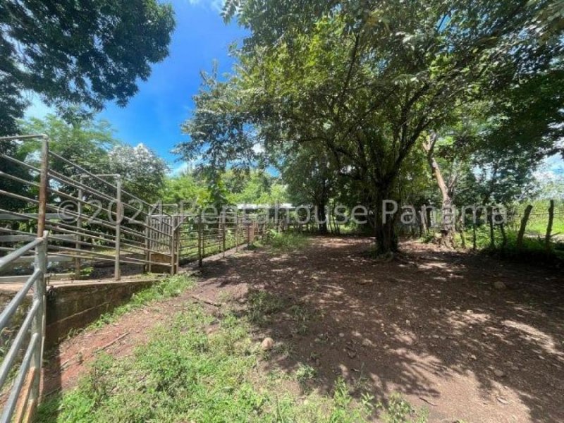 Finca en venta en veraguas ELP 25-1754