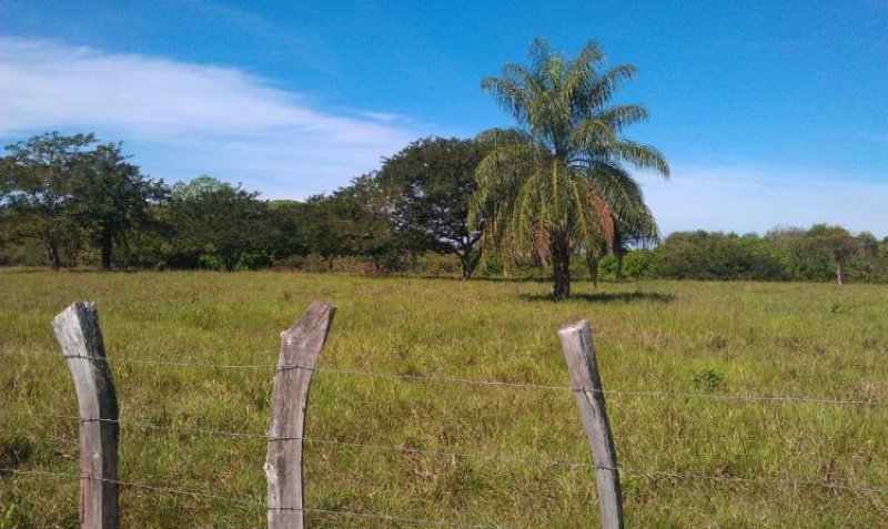 Foto Finca en Venta en Las Lajas San Felix, Las Lajas, Chiriquí - 66 hectareas - U$D 660.000 - FIV3503 - BienesOnLine