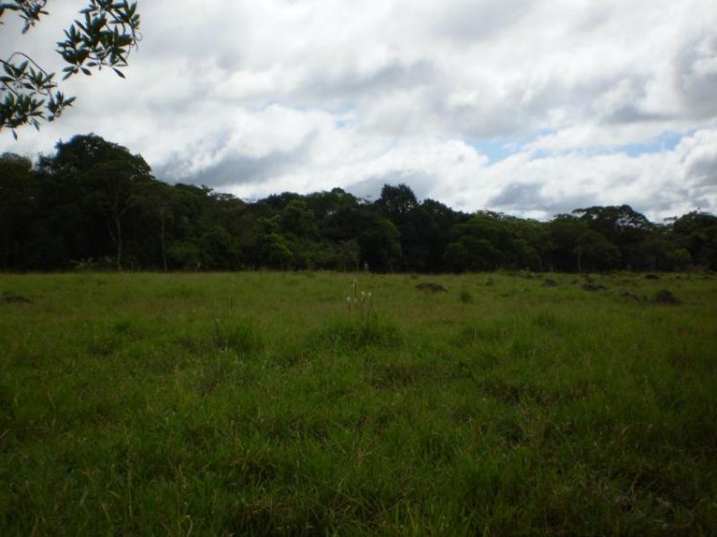 Foto Finca en Venta en Boqueron, Boquerón, Chiriquí - U$D 225.000 - FIV3485 - BienesOnLine