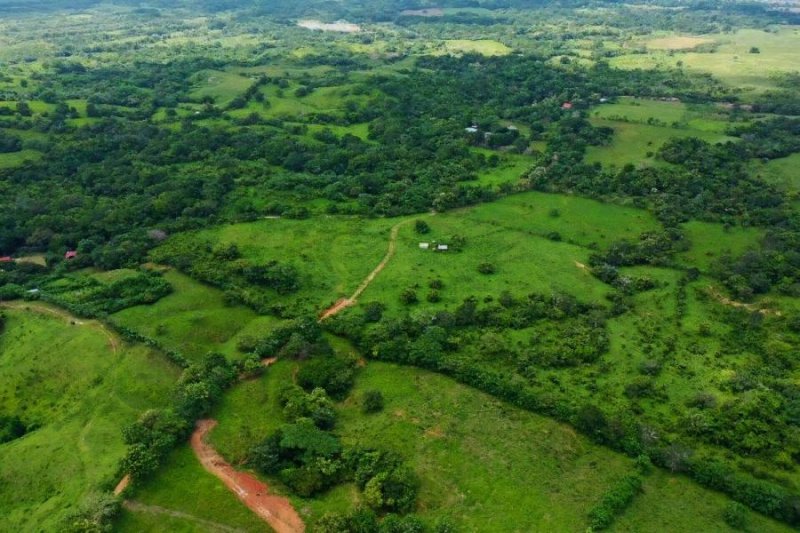 Finca en Venta en Chepo Chepo, Panamá