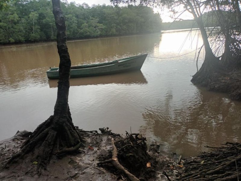 Finca en Venta en El bongo El bongo, Veraguas