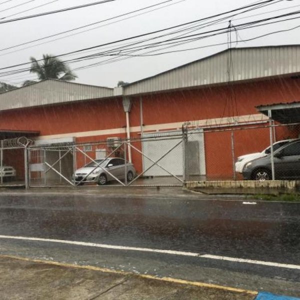 Foto Galera en Alquiler en Tocumen, Panamá - U$D 2.500 - GAA25012 - BienesOnLine