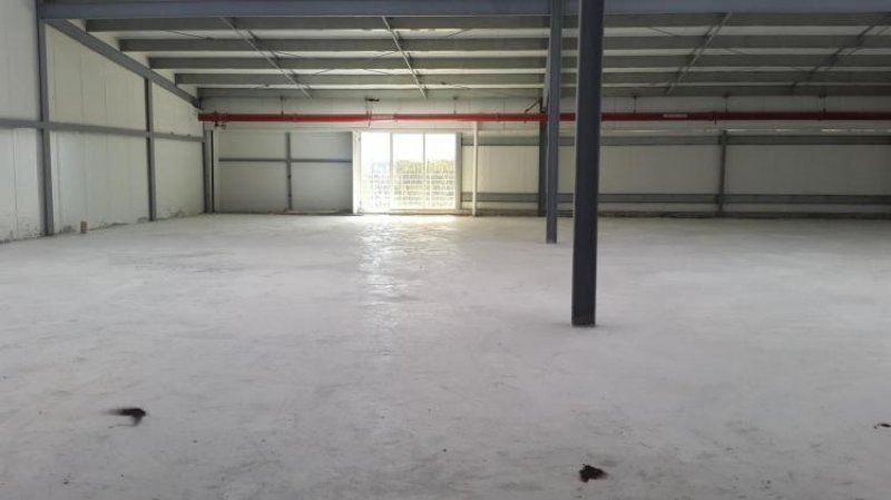 Foto Galera en Alquiler en Juan Díaz, Panamá - U$D 3.900 - GAA25114 - BienesOnLine