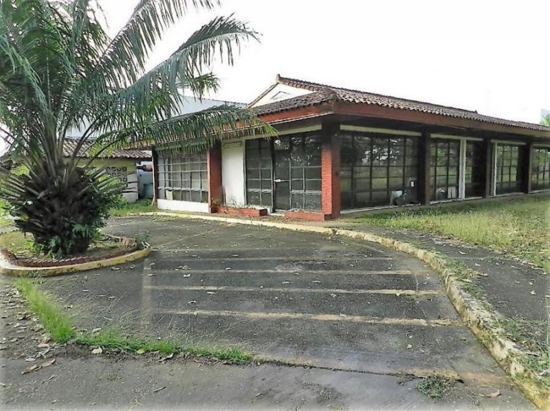 Foto Galera en Alquiler en TOCUMEN, Panamá - U$D 36.500 - GAA60780 - BienesOnLine