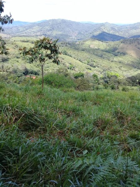 Finca en Venta en  Soná, Veraguas