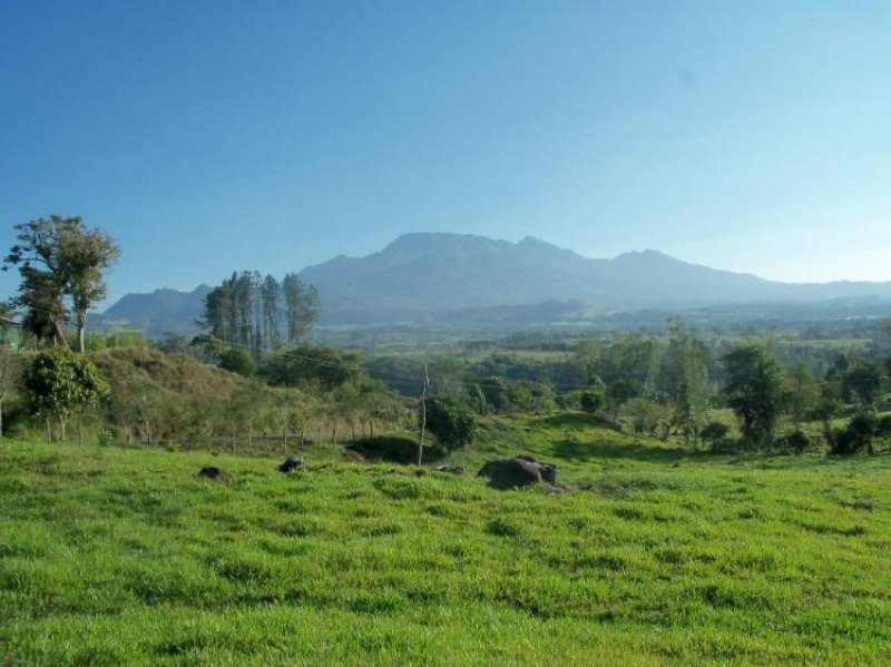 Foto Finca en Venta en Bugaba-Cuesta de Piedra, Bugaba, Chiriquí - U$D 159.900 - FIV3483 - BienesOnLine