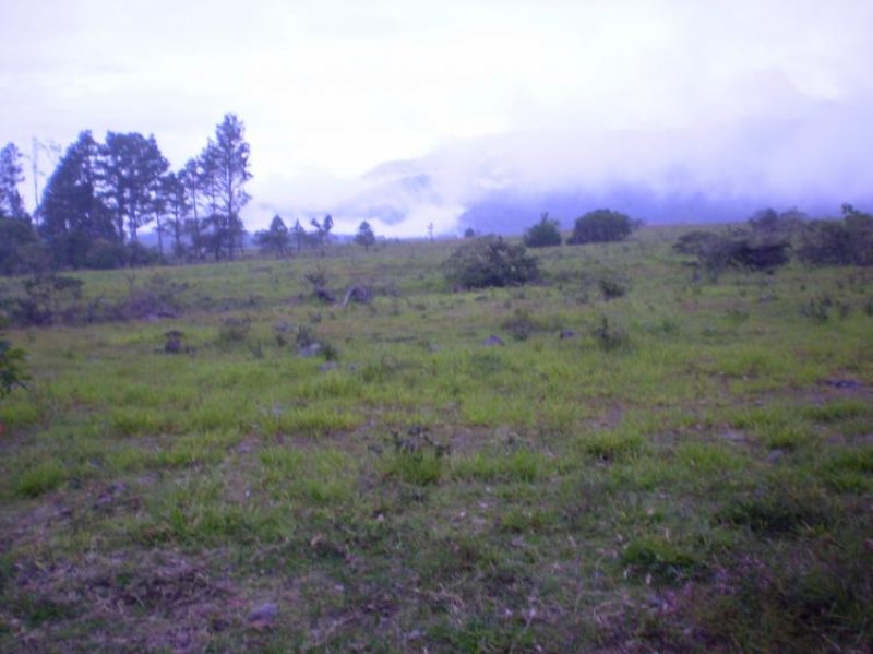 Foto Finca en Venta en Volcan, Volcán, Chiriquí - U$D 230.000 - FIV3543 - BienesOnLine