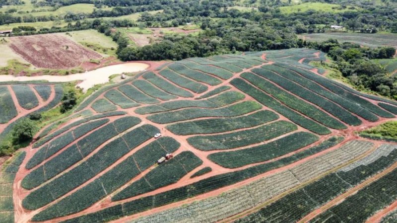 Finca en Venta en La Colorada Panama, Panamá